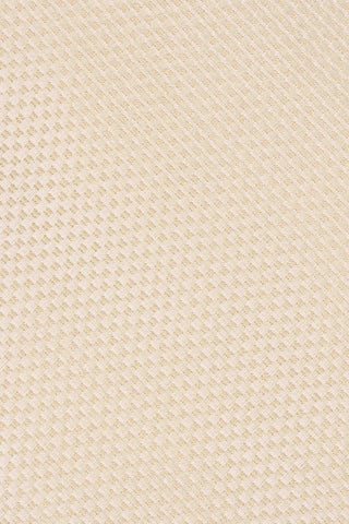 Slips & lommekluds pakke (champagne) suitclub.dk