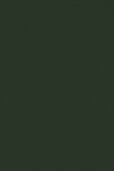 PREMIUM grønt jakkesæt