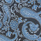 Slips & lommekluds pakke (Champagne paisley)