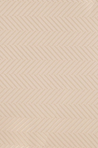 Champagne sildeben slips PVD