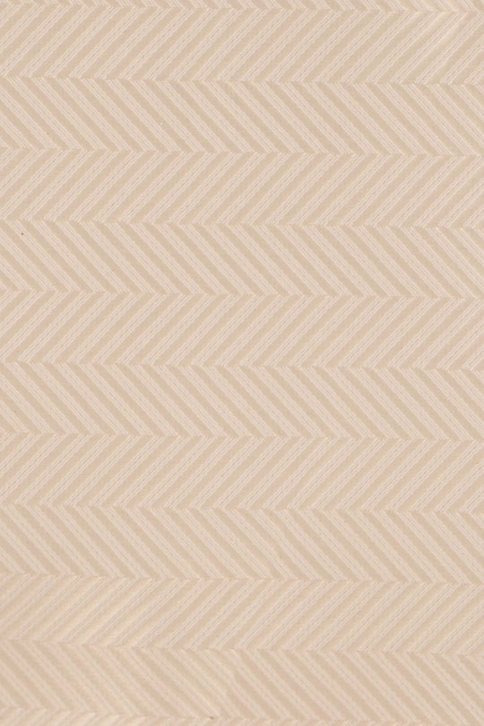 Champagne sildeben slips PVD