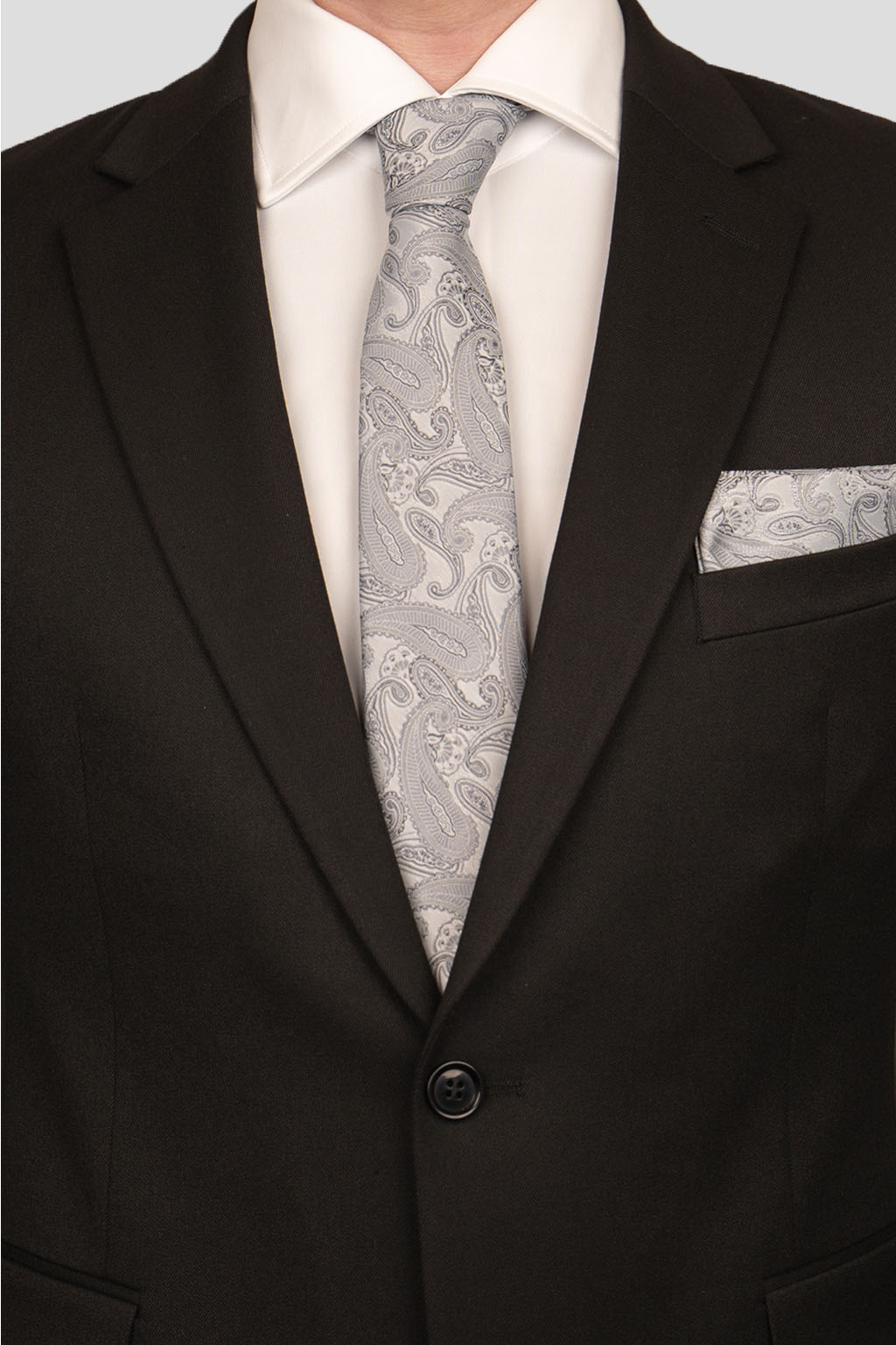 Sølv paisley slips PVD