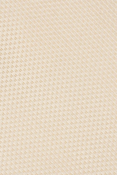 Slips & lommekluds pakke (champagne)