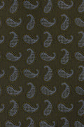 Grønt paisley slips